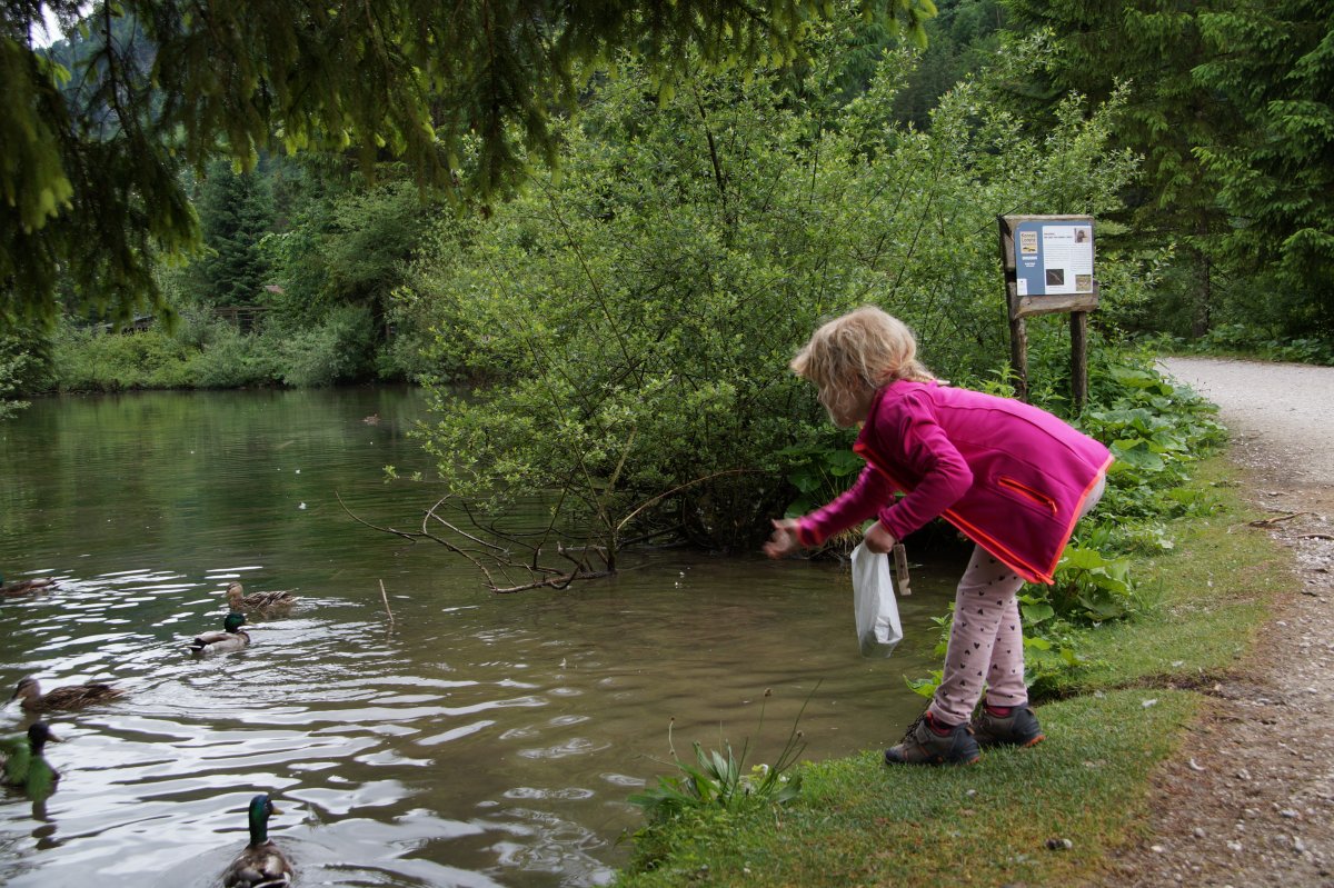 Wildpark 2019